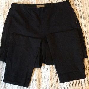 Everlane Work Pant in Black /sz 16
